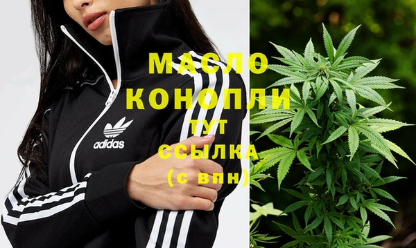 дмт Пестово