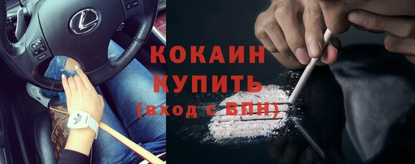 дмт Пестово