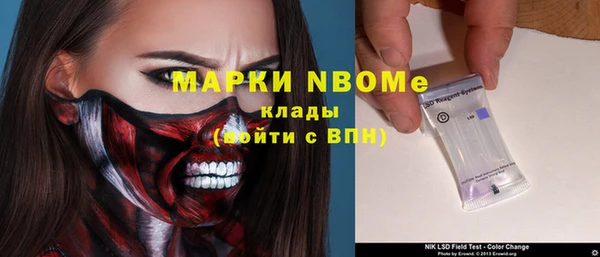 дмт Пестово