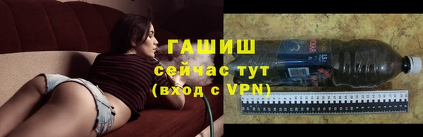 дмт Пестово