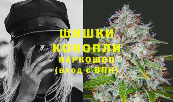 дмт Пестово
