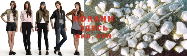 дмт Пестово
