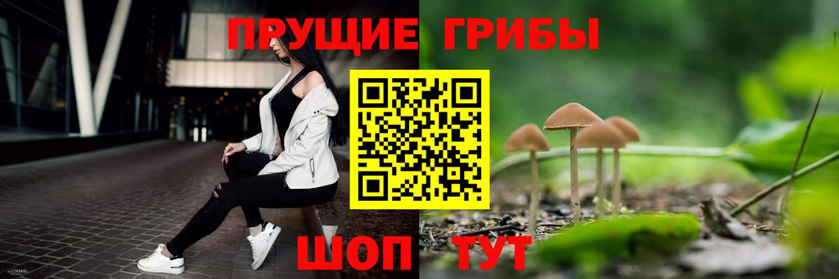 Урюпинск  Галлюциногенные грибы ЛСД  наркошоп  Вход с VPN 